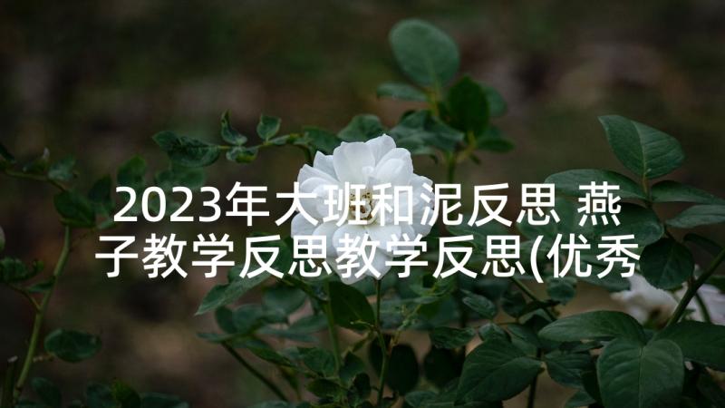 2023年大班和泥反思 燕子教学反思教学反思(优秀10篇)