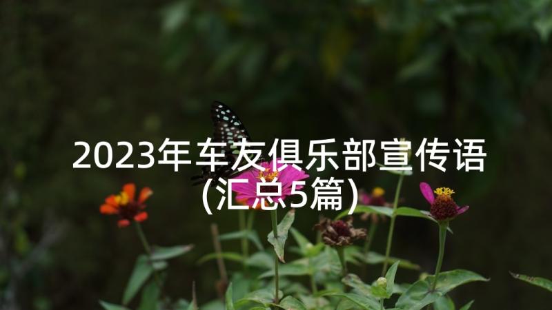 2023年车友俱乐部宣传语(汇总5篇)