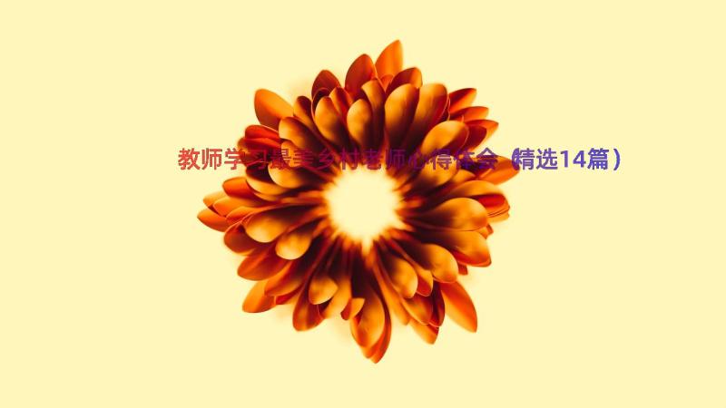 教师学习最美乡村老师心得体会（精选14篇）