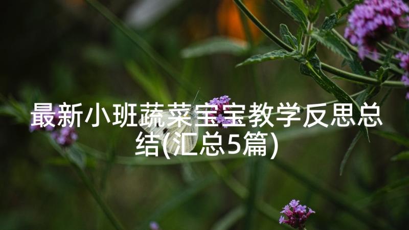 最新小班蔬菜宝宝教学反思总结(汇总5篇)