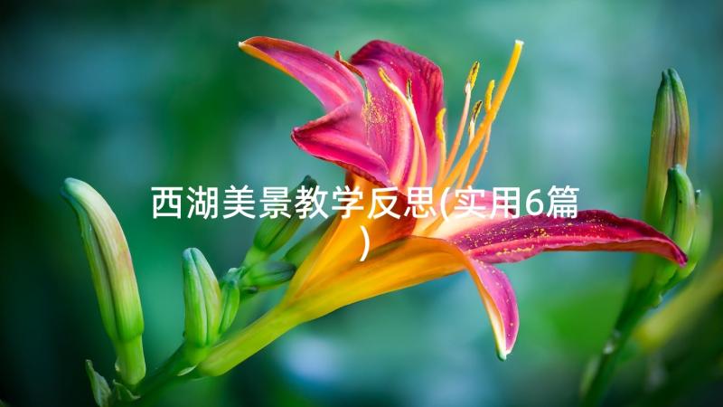 西湖美景教学反思(实用6篇)