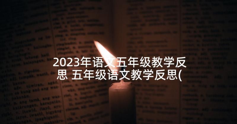 2023年语文五年级教学反思 五年级语文教学反思(模板10篇)