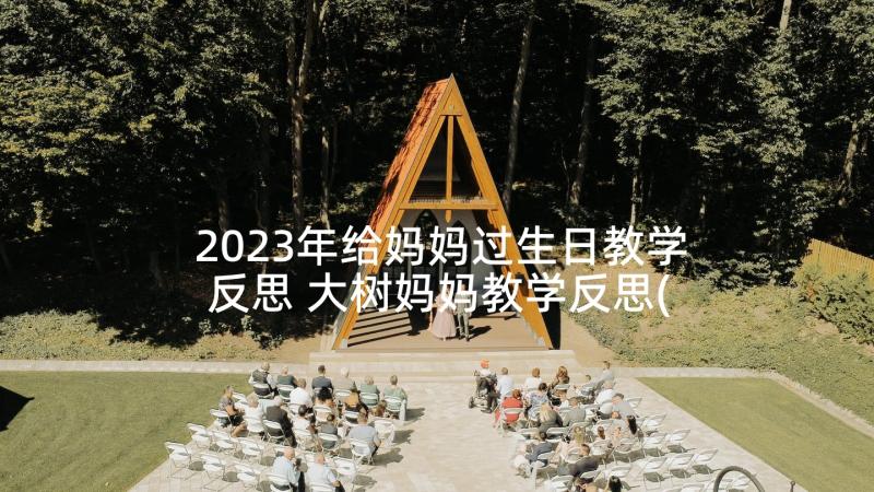 2023年给妈妈过生日教学反思 大树妈妈教学反思(精选6篇)