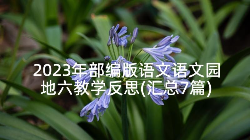 2023年部编版语文语文园地六教学反思(汇总7篇)