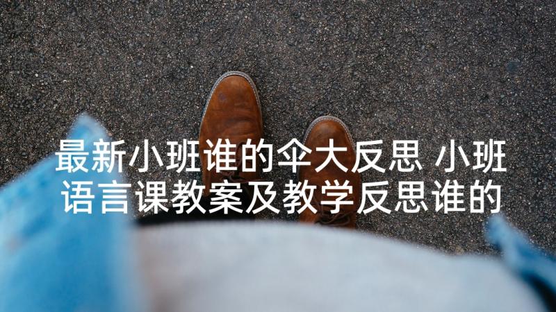 最新小班谁的伞大反思 小班语言课教案及教学反思谁的尾巴(优质5篇)