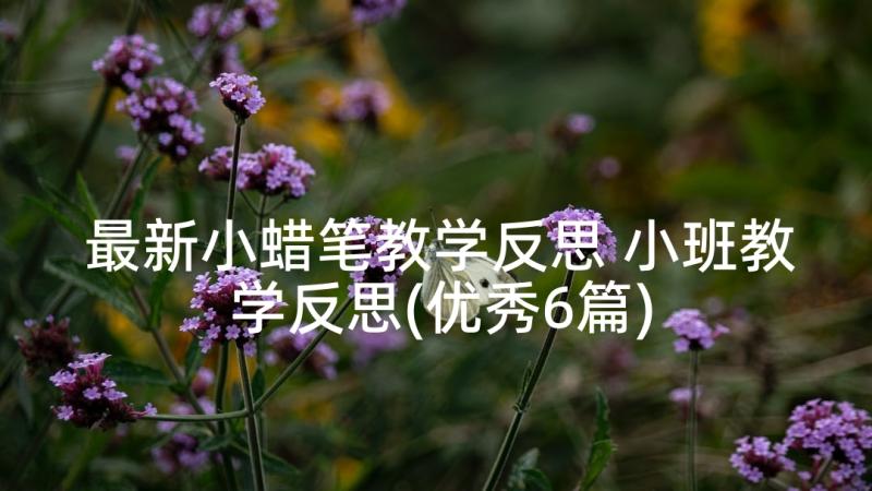 最新小蜡笔教学反思 小班教学反思(优秀6篇)