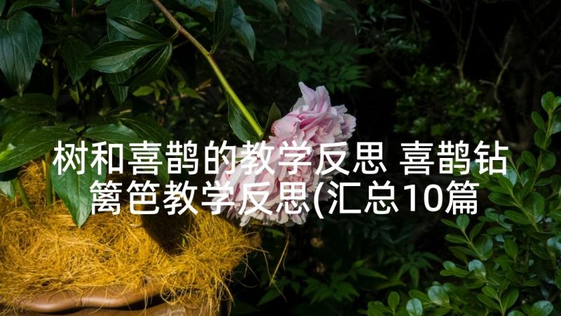 树和喜鹊的教学反思 喜鹊钻篱笆教学反思(汇总10篇)