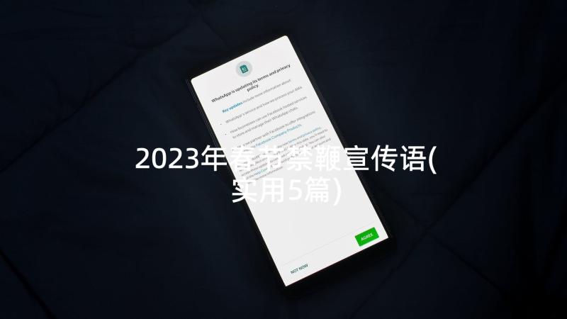 2023年春节禁鞭宣传语(实用5篇)