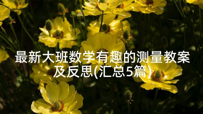 最新大班数学有趣的测量教案及反思(汇总5篇)