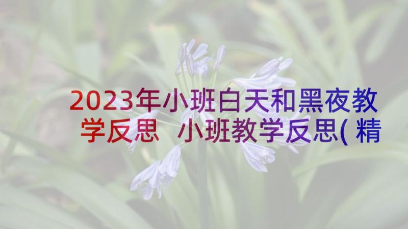 2023年小班白天和黑夜教学反思 小班教学反思(精选8篇)