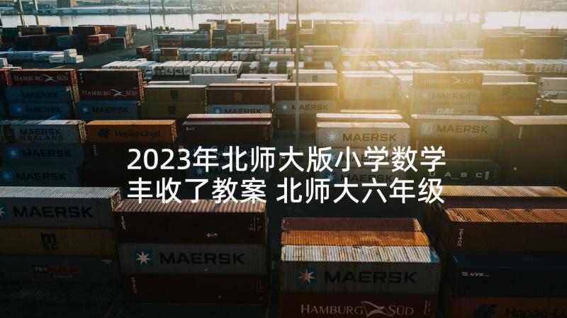 2023年北师大版小学数学丰收了教案 北师大六年级数学教学反思(汇总6篇)