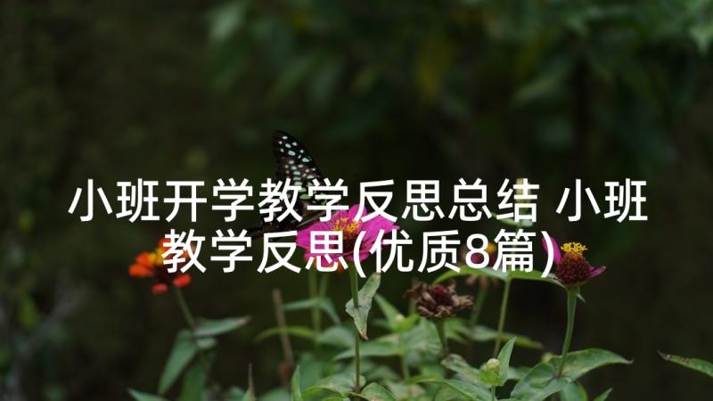 小班开学教学反思总结 小班教学反思(优质8篇)