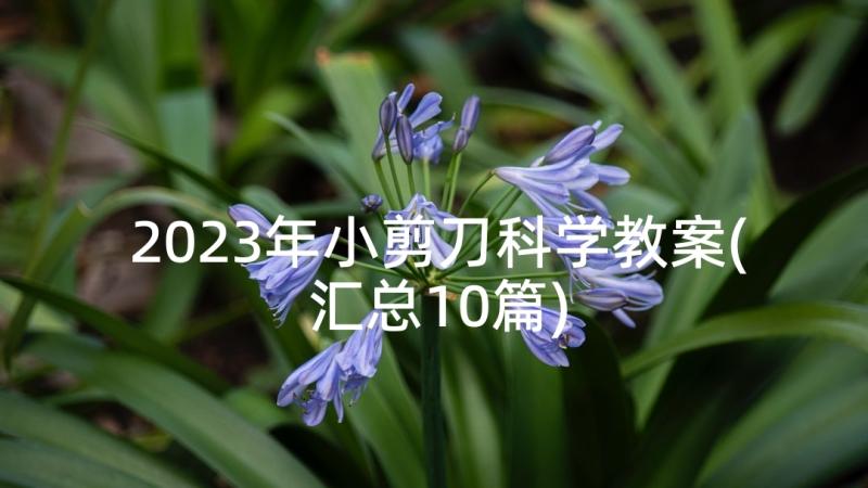 2023年小剪刀科学教案(汇总10篇)