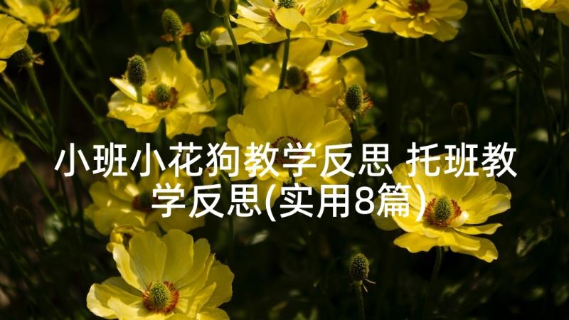 小班小花狗教学反思 托班教学反思(实用8篇)