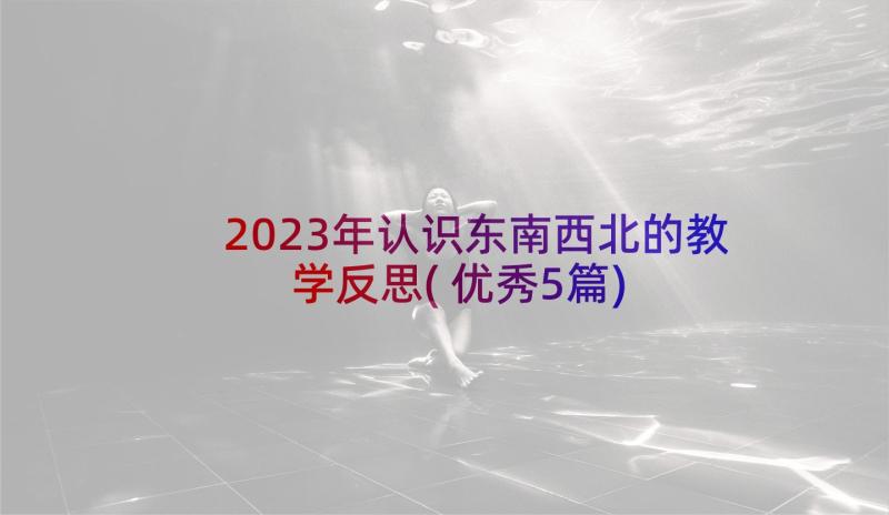 2023年认识东南西北的教学反思(优秀5篇)