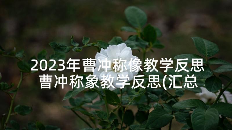 2023年曹冲称像教学反思 曹冲称象教学反思(汇总6篇)