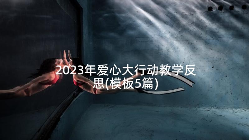 2023年爱心大行动教学反思(模板5篇)