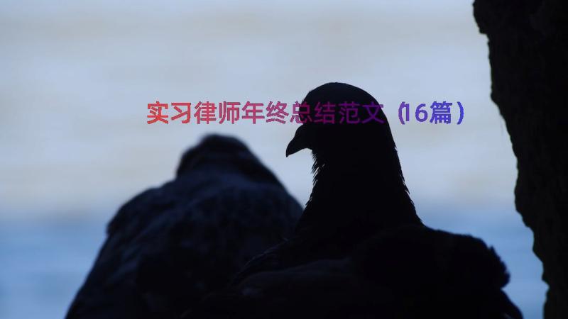 实习律师年终总结范文（16篇）