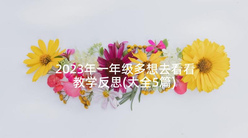 2023年一年级多想去看看教学反思(大全5篇)