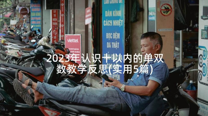 2023年认识十以内的单双数教学反思(实用5篇)