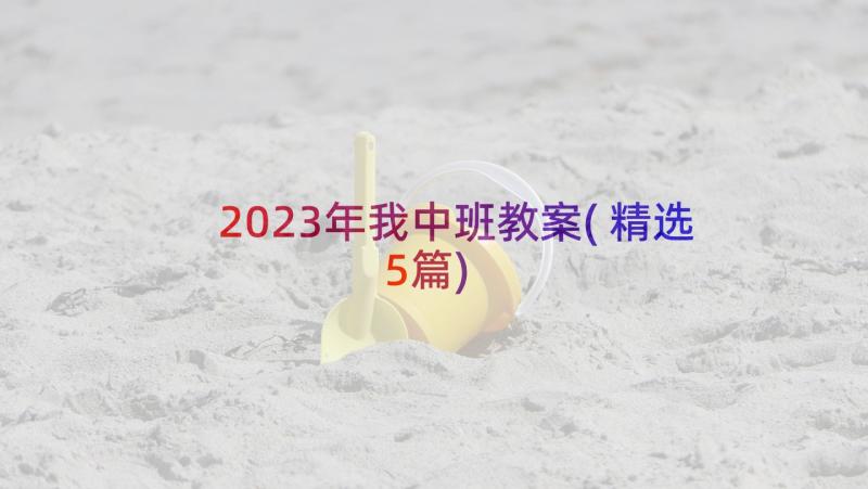 2023年我中班教案(精选5篇)