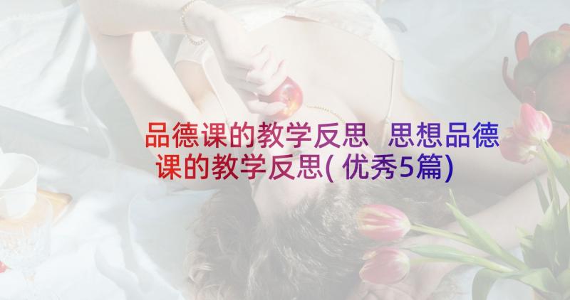 品德课的教学反思 思想品德课的教学反思(优秀5篇)