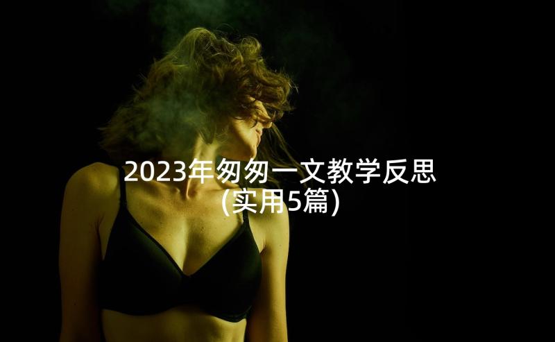 2023年匆匆一文教学反思(实用5篇)