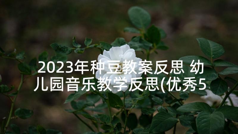 2023年种豆教案反思 幼儿园音乐教学反思(优秀5篇)