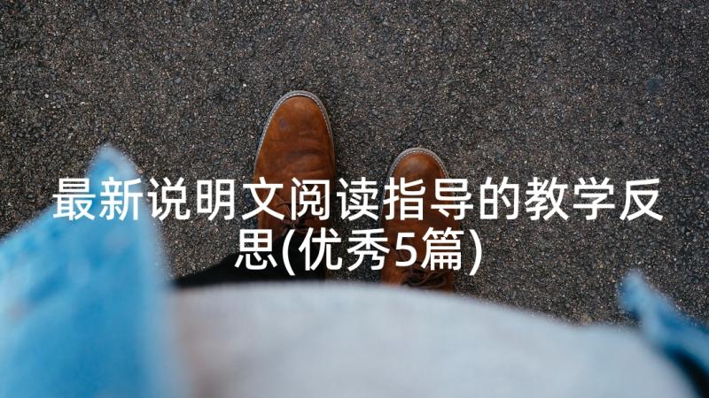 最新说明文阅读指导的教学反思(优秀5篇)