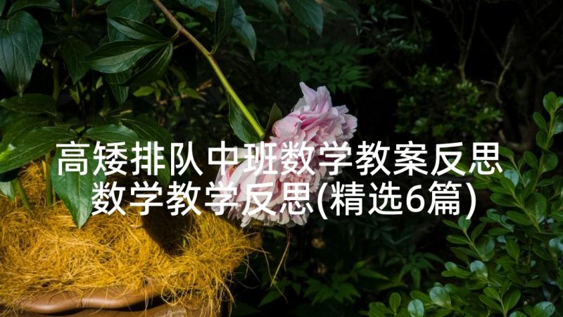 高矮排队中班数学教案反思 数学教学反思(精选6篇)