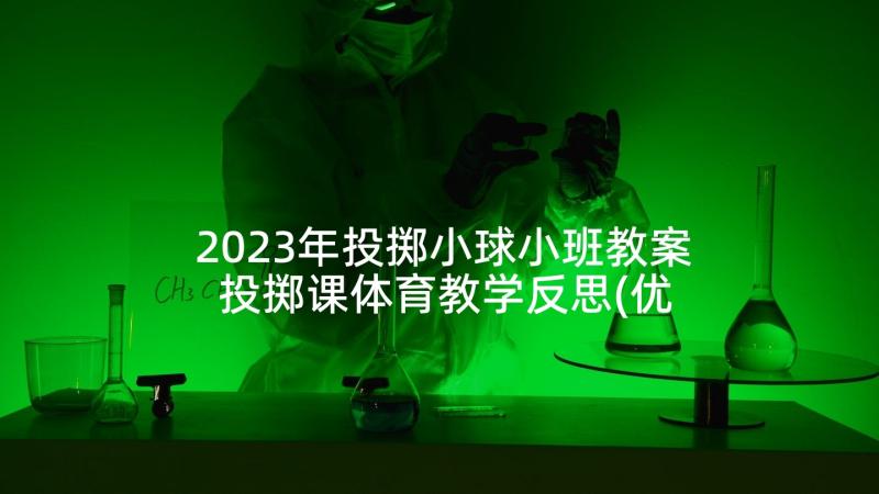 2023年投掷小球小班教案 投掷课体育教学反思(优质7篇)