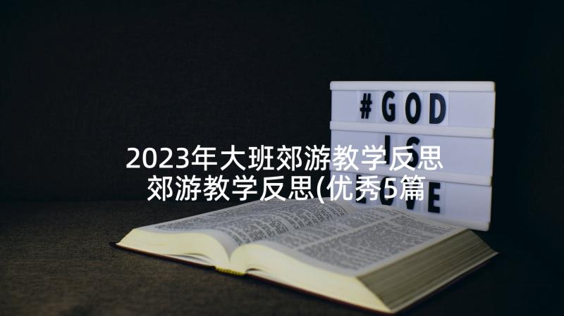 2023年大班郊游教学反思 郊游教学反思(优秀5篇)