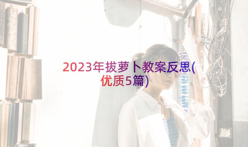 2023年拔萝卜教案反思(优质5篇)