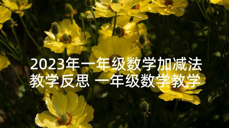 2023年一年级数学加减法教学反思 一年级数学教学反思(精选5篇)