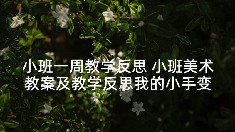 小班一周教学反思 小班美术教案及教学反思我的小手变变变(优秀5篇)