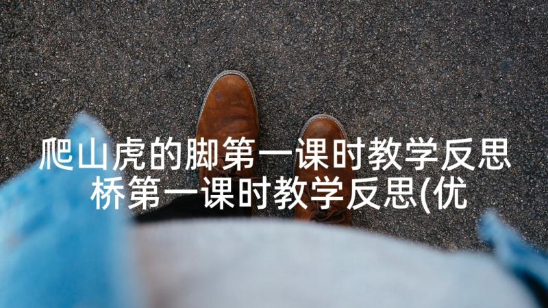 爬山虎的脚第一课时教学反思 桥第一课时教学反思(优质5篇)