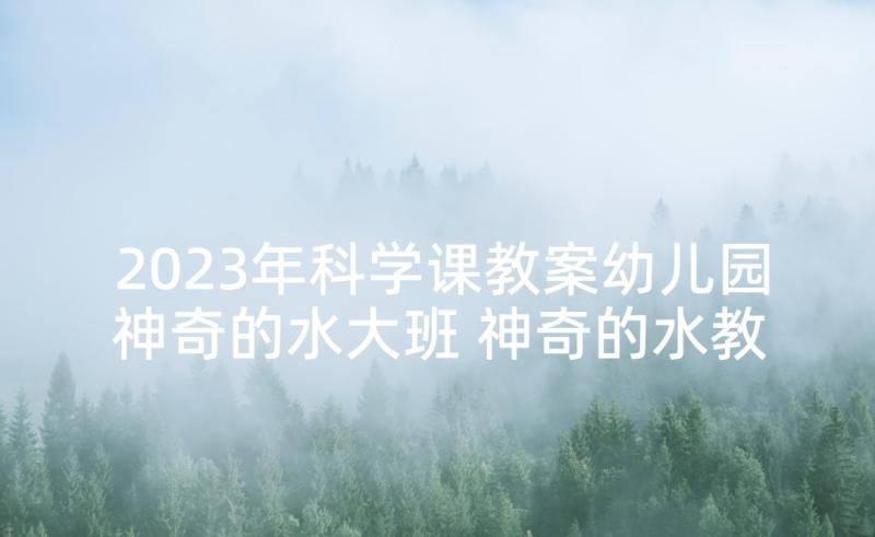 2023年科学课教案幼儿园神奇的水大班 神奇的水教学反思(优质5篇)