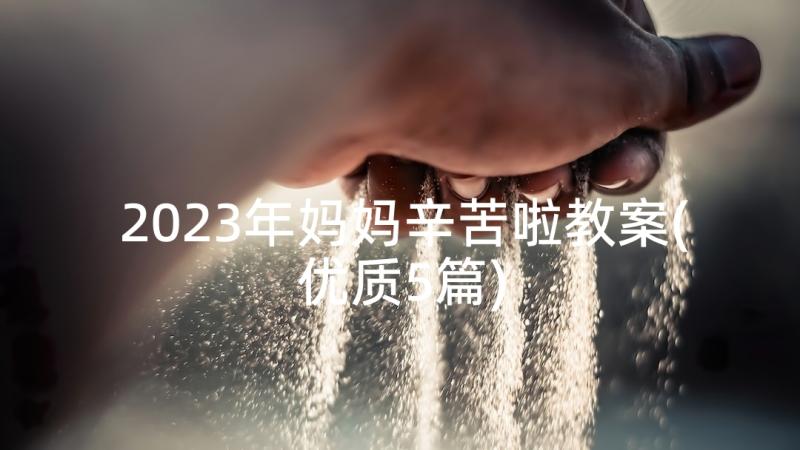 2023年妈妈辛苦啦教案(优质5篇)