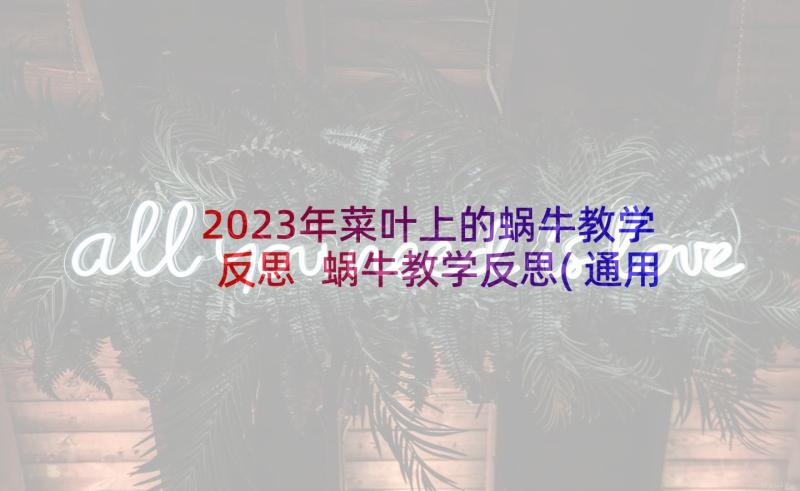 2023年菜叶上的蜗牛教学反思 蜗牛教学反思(通用9篇)