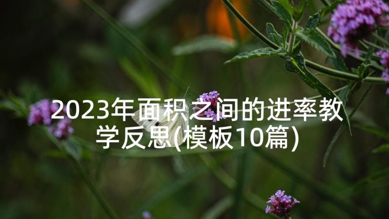 2023年面积之间的进率教学反思(模板10篇)