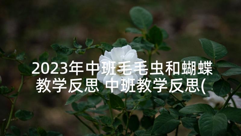 2023年中班毛毛虫和蝴蝶教学反思 中班教学反思(实用9篇)