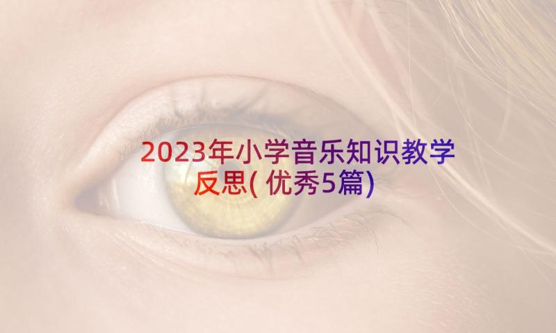 2023年小学音乐知识教学反思(优秀5篇)