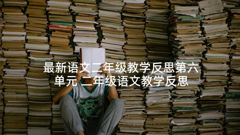 最新语文二年级教学反思第六单元 二年级语文教学反思(优秀6篇)