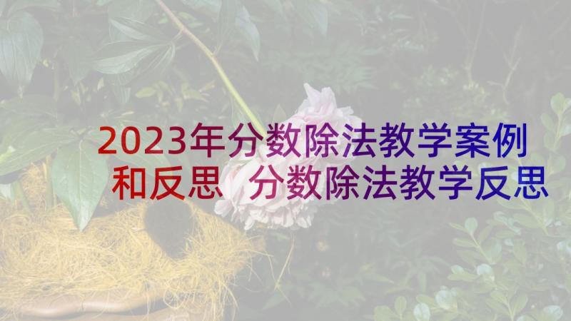 2023年分数除法教学案例和反思 分数除法教学反思(实用6篇)