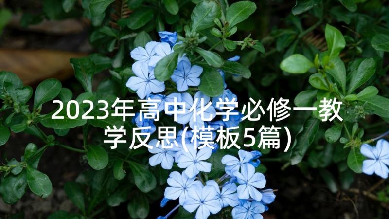 2023年高中化学必修一教学反思(模板5篇)