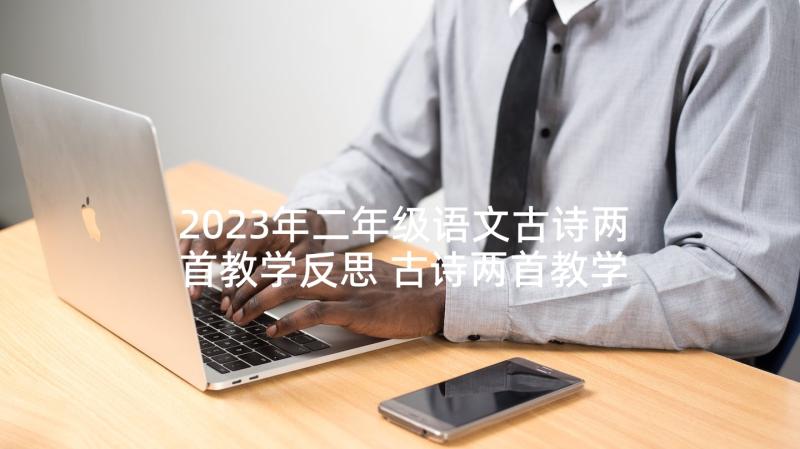 2023年二年级语文古诗两首教学反思 古诗两首教学反思(优秀5篇)