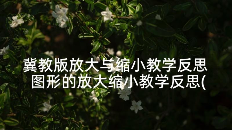 冀教版放大与缩小教学反思 图形的放大缩小教学反思(汇总5篇)