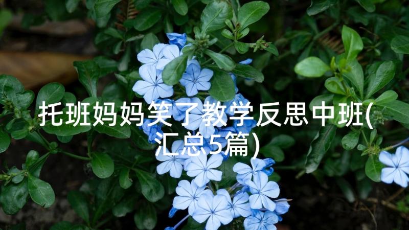 托班妈妈笑了教学反思中班(汇总5篇)