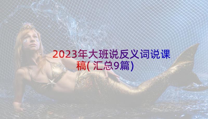 2023年大班说反义词说课稿(汇总9篇)