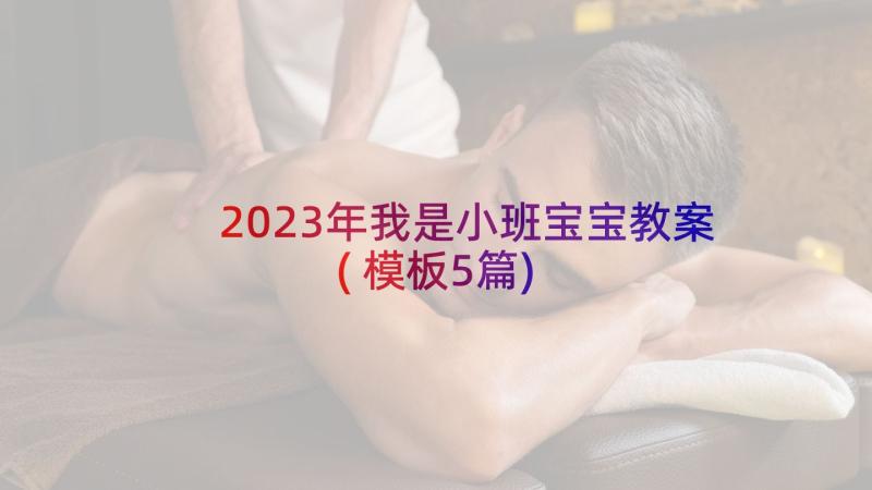 2023年我是小班宝宝教案(模板5篇)